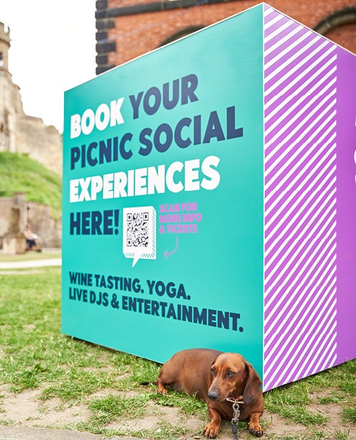 Picnic Social Ruddocks case study