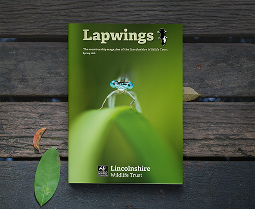 Wildlife Trust Case Study