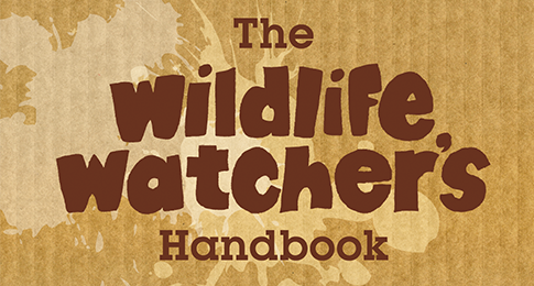 Wildlife Trusts Teaser