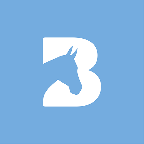 Bransby Horses case study