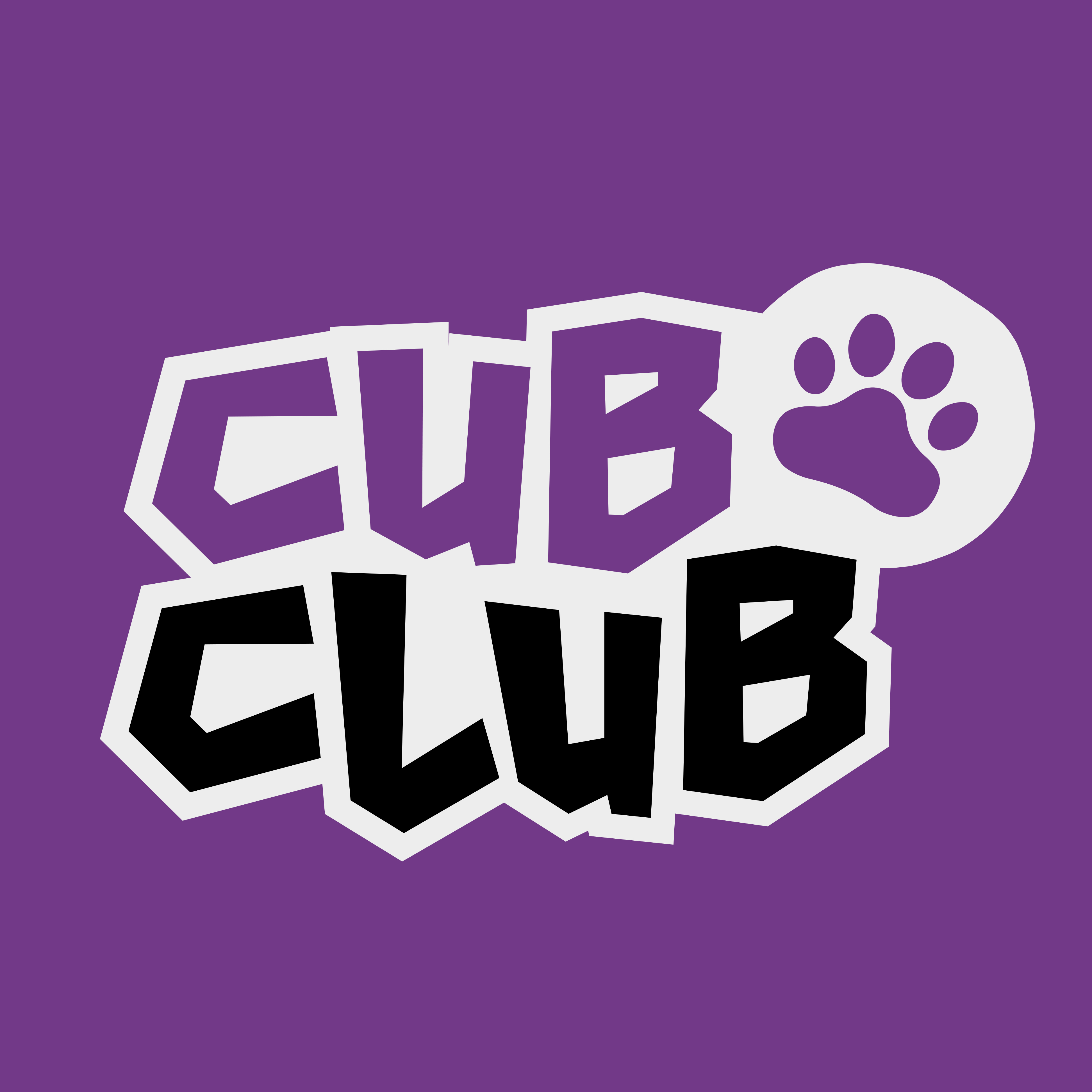 SSPCA CubClub case study