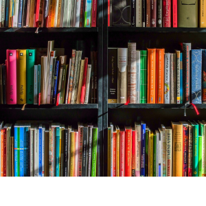 Novels
