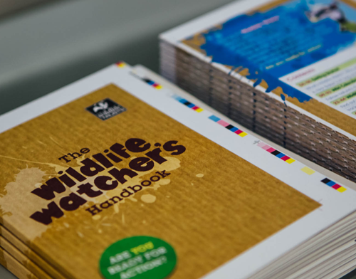 Wildlife Trusts Case Study Image 4