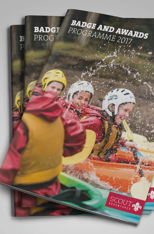 Scouts Case Study