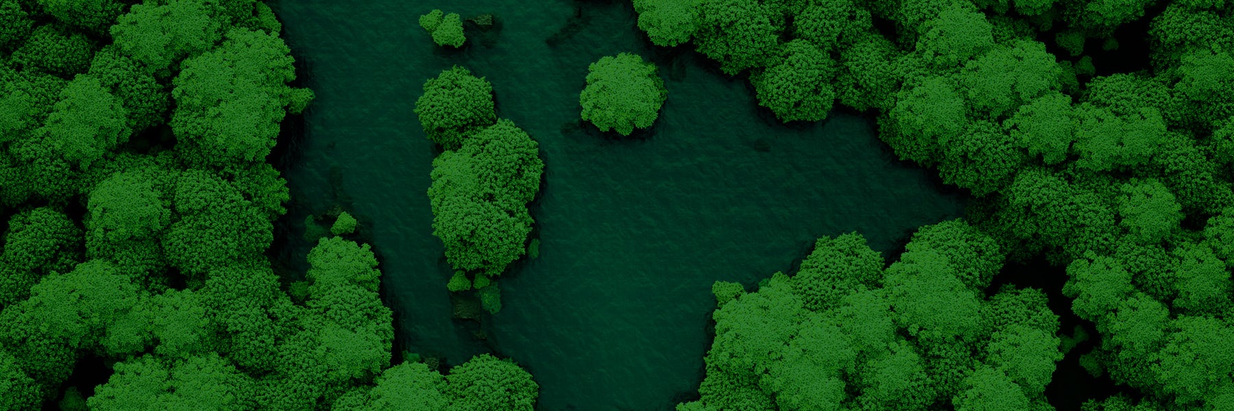 Ruddocks Sustainability services