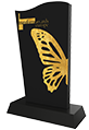 Transform Award Gold