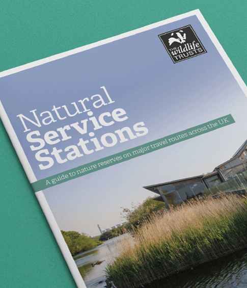 Wildlife Trusts Guide Artwork Thumbnail