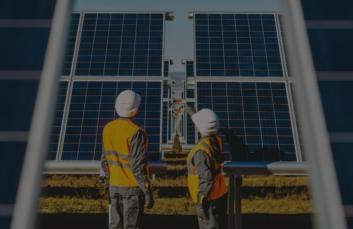 carbon offsetting schemes