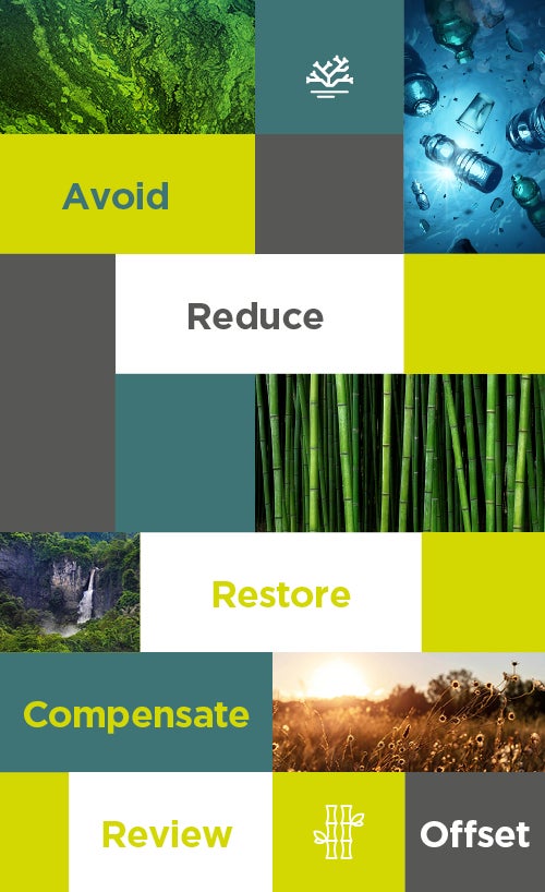 avoid, reduce, restore, compensate, review, offset