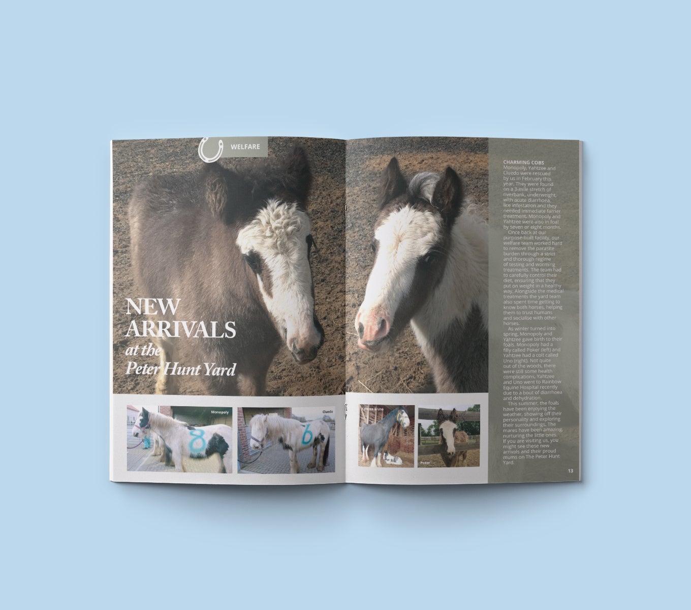 Bransby Horse Print Artwork