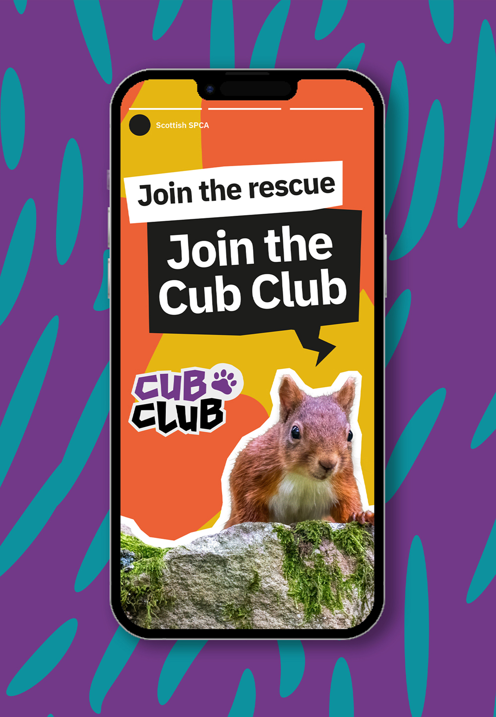 Join the Cub Club
