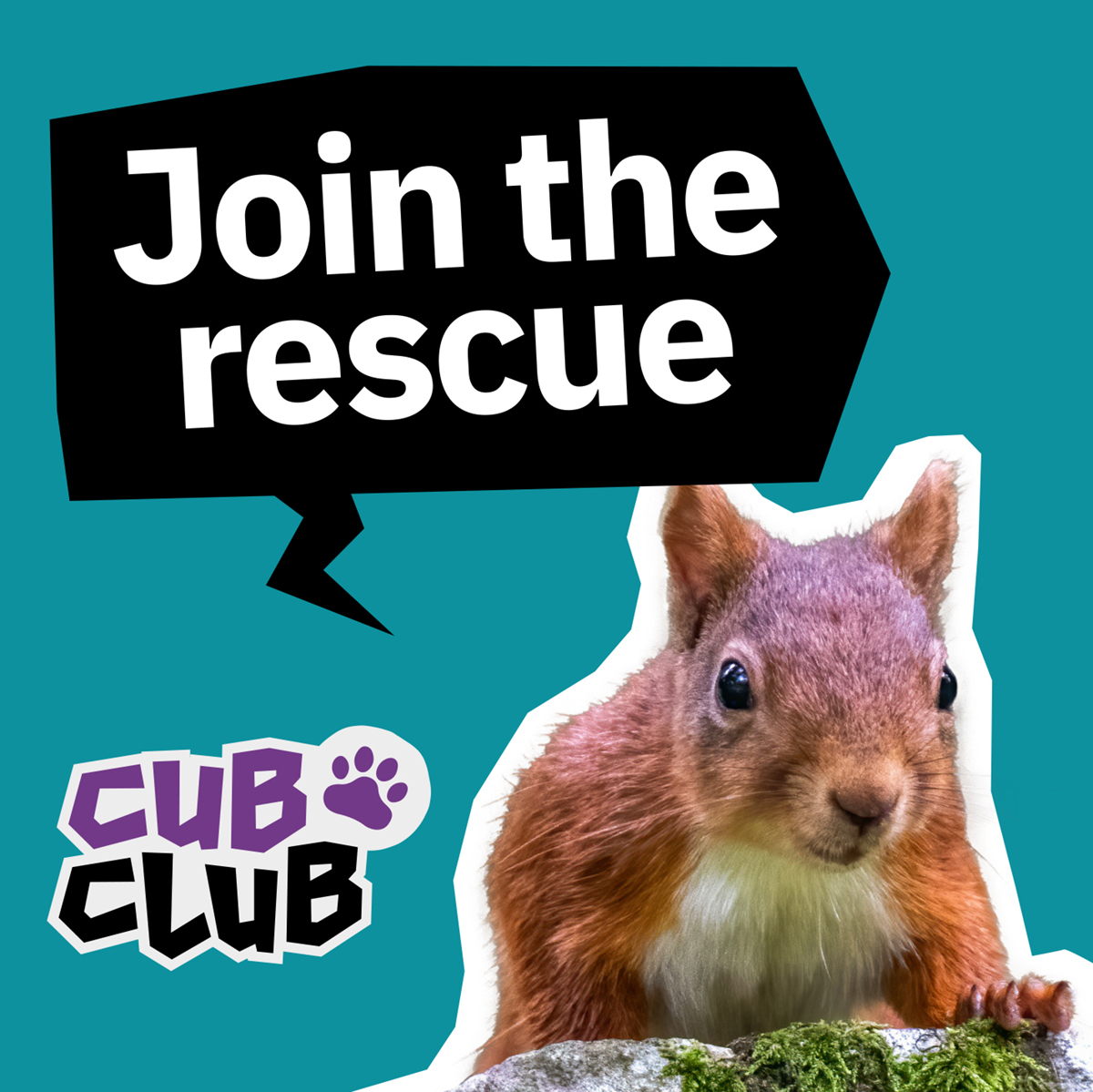 Join the rescue