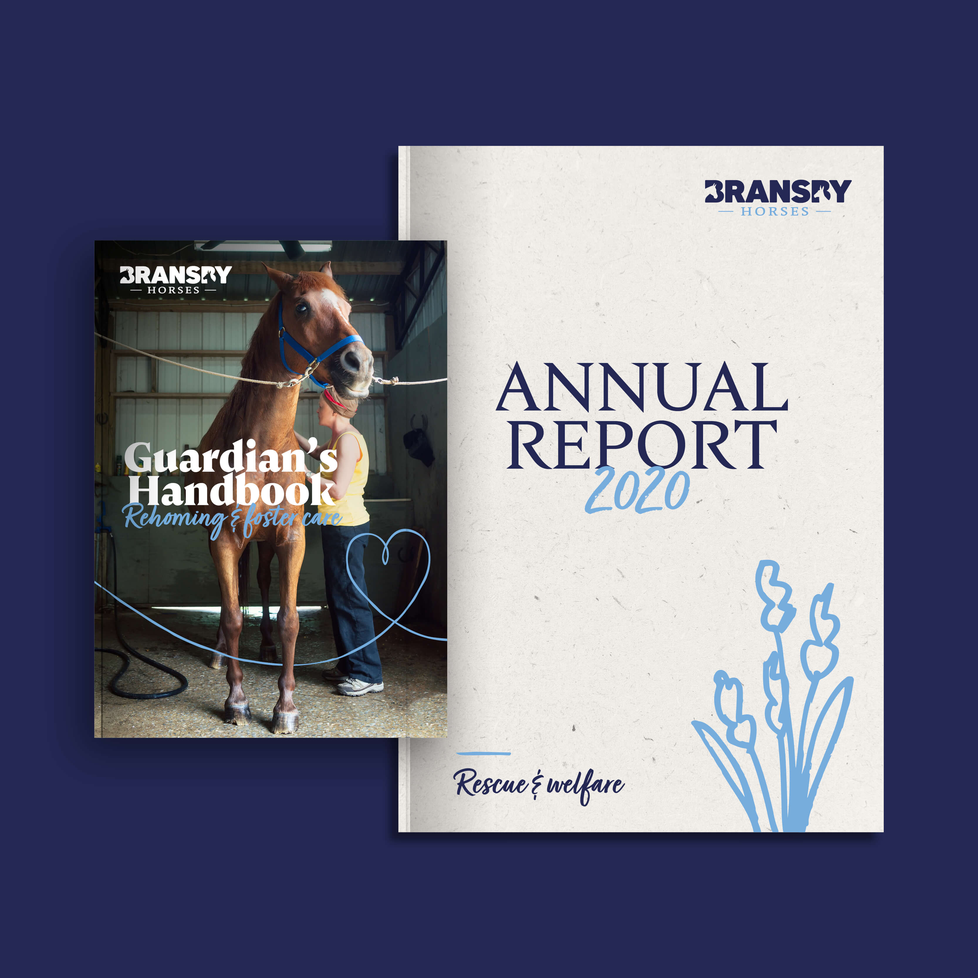 Bransby Horses case study
