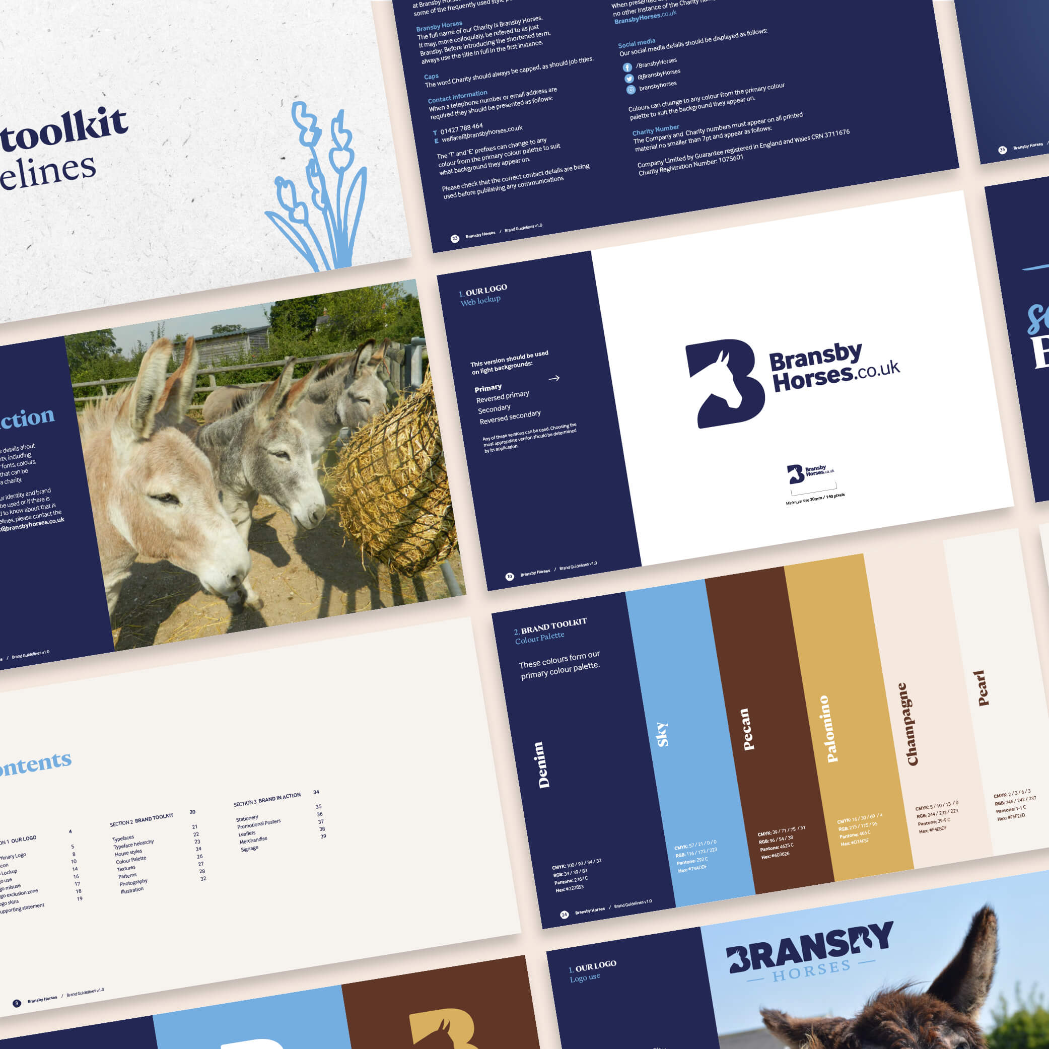 Bransby Horses case study