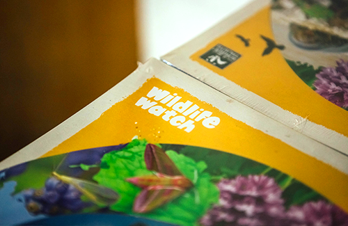 Wildlife Trust Case Study