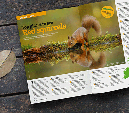 Wildlife Trust Case Study