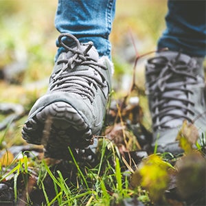 Mrk enjoys walking in nature