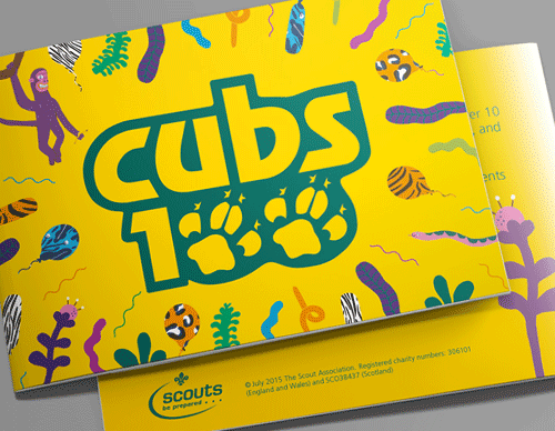 Scouts Case Study