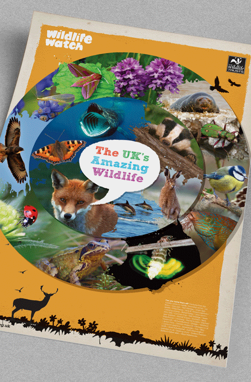 Wildlife Trust Case Study