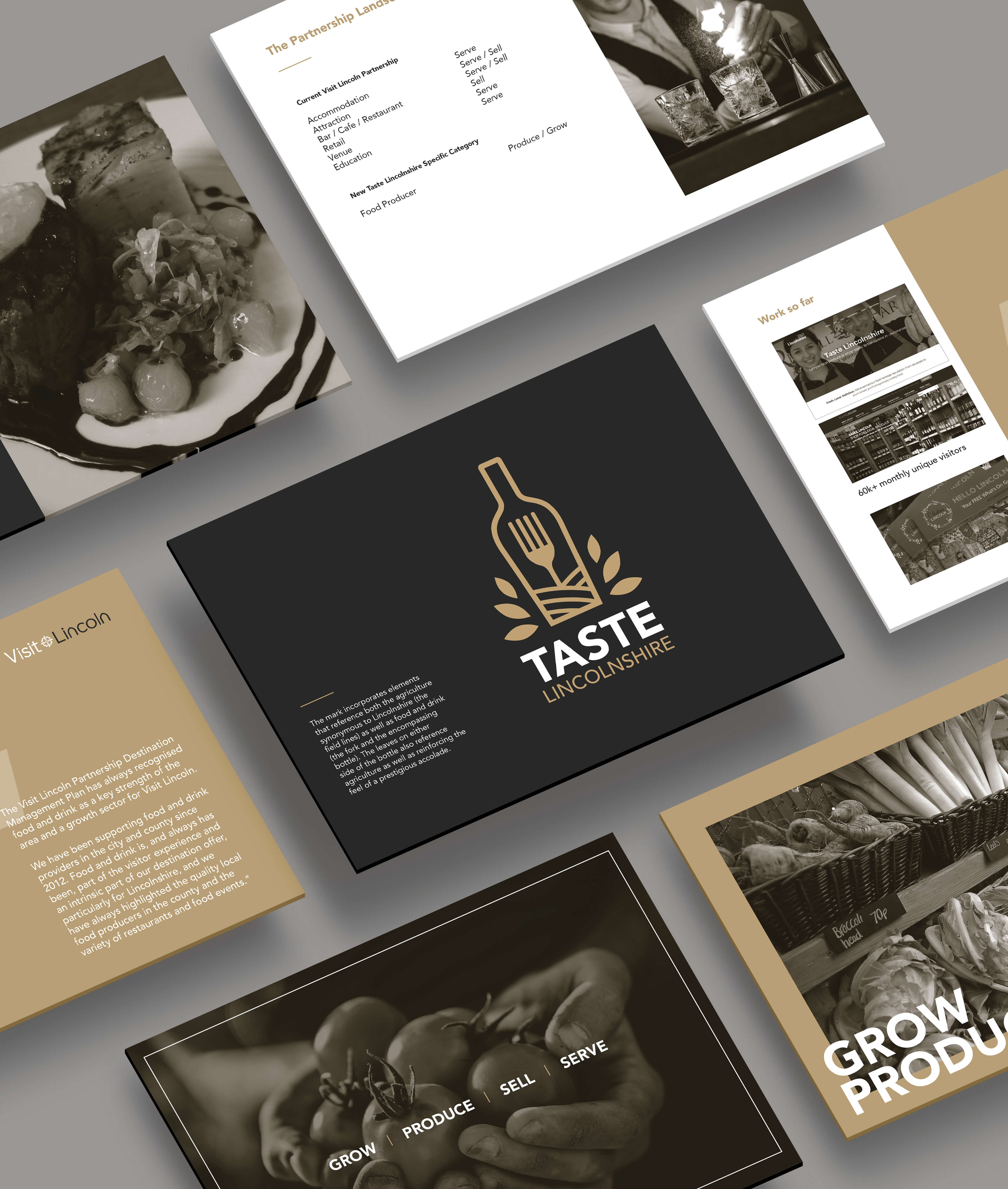 Visit Lincoln case study