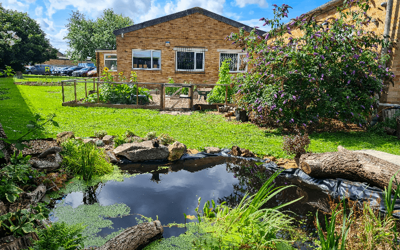 the Ruddocks pond & garden