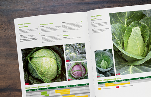 Elsoms Seeds Case Study