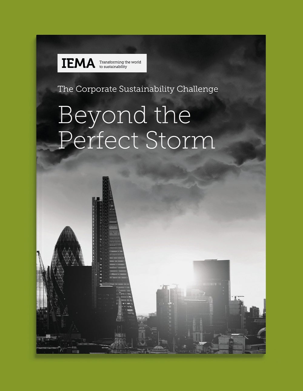 IEMA Case Study