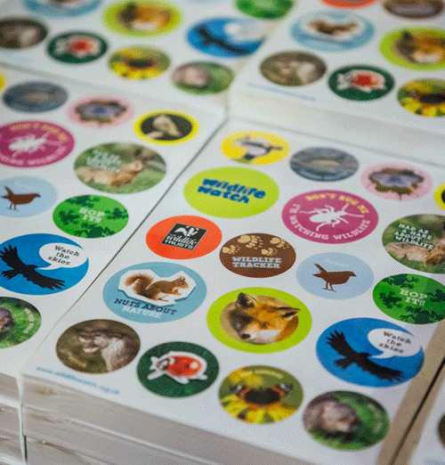 Wildlife Trust Case Study