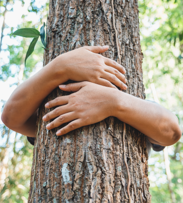 The Human & Community Side of Sustainability Ruddocks