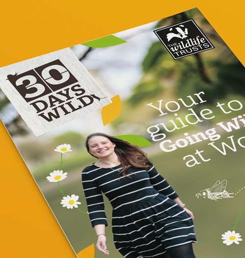 Wildlife Trusts Case Study Image 6