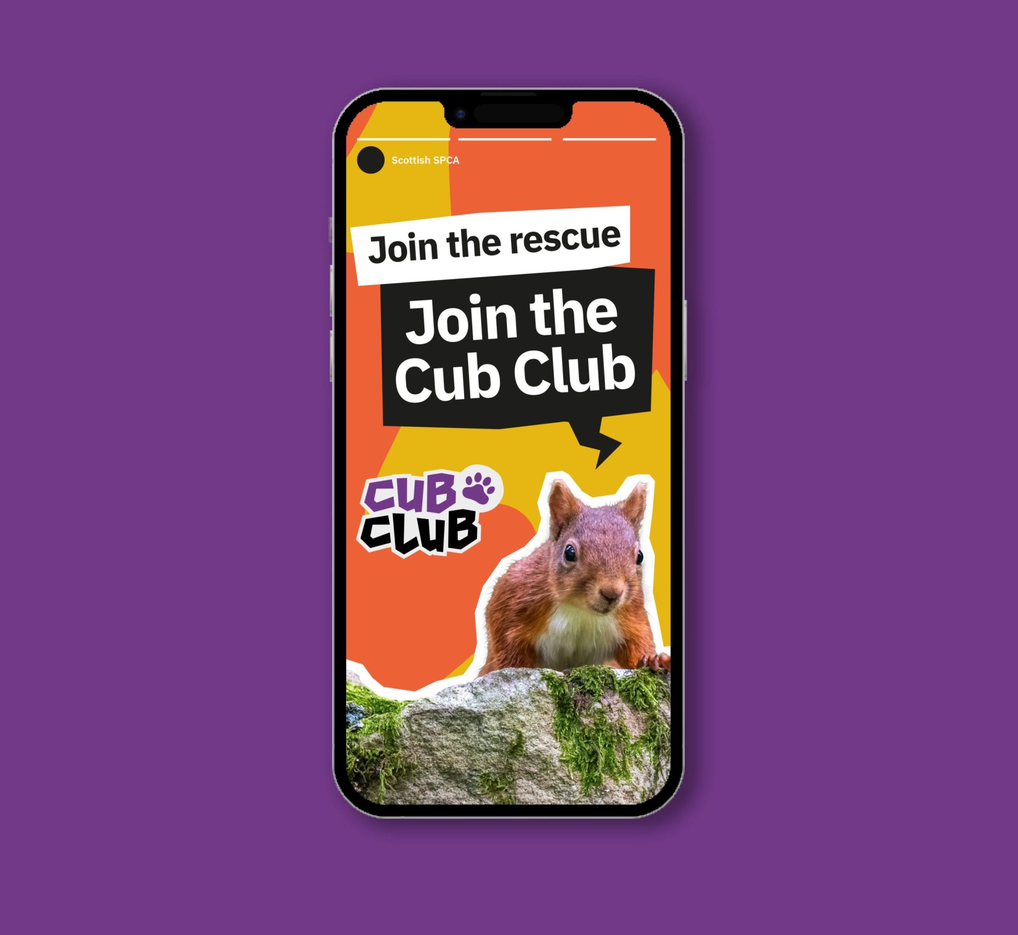 Ruddocks digital brand project