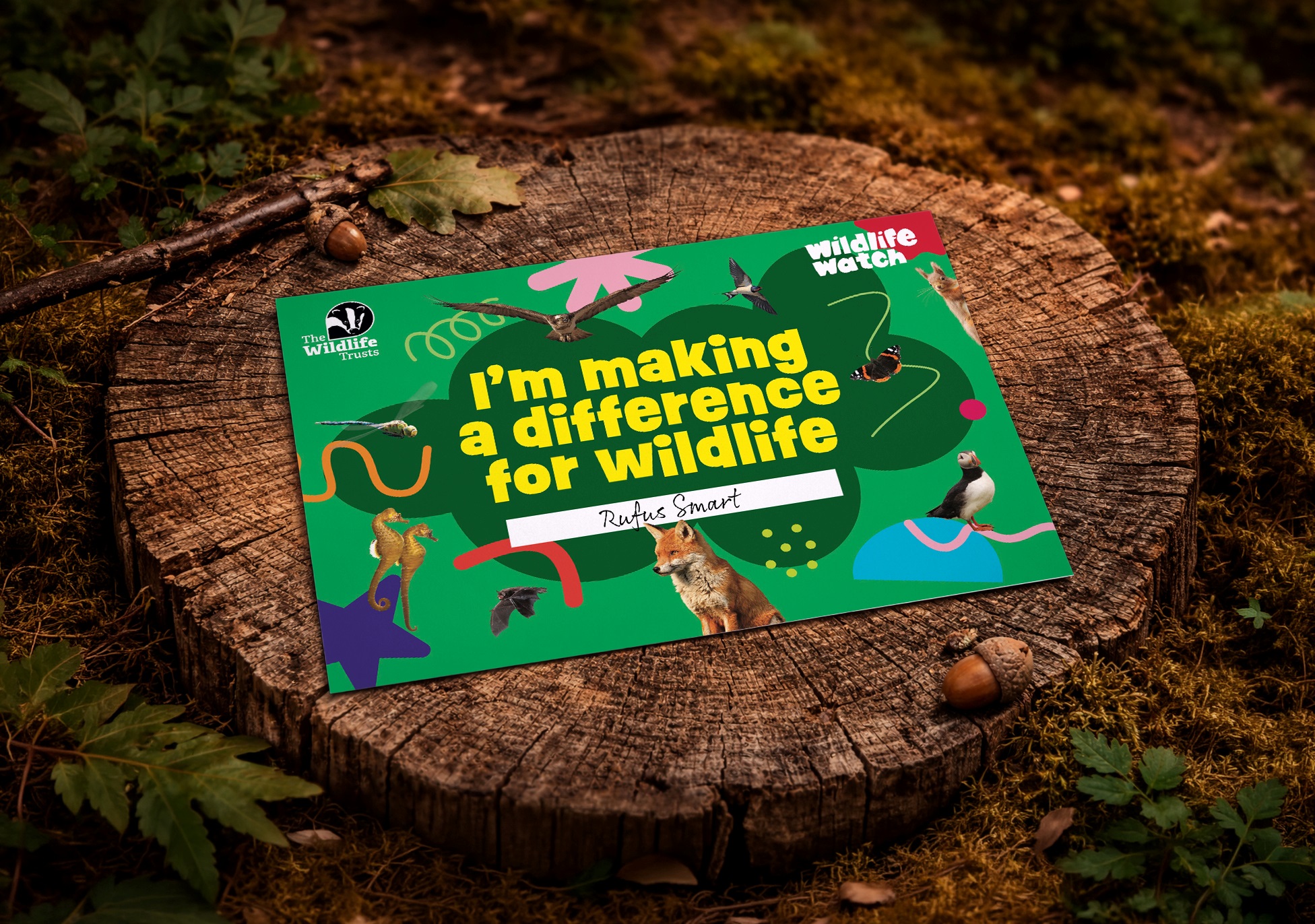 wildlife watch certificate produced by ruddocks
