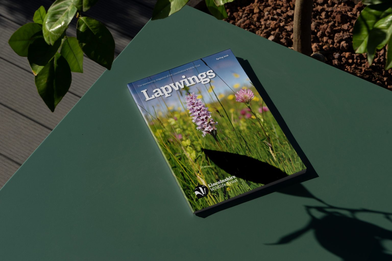 lapwings magazine