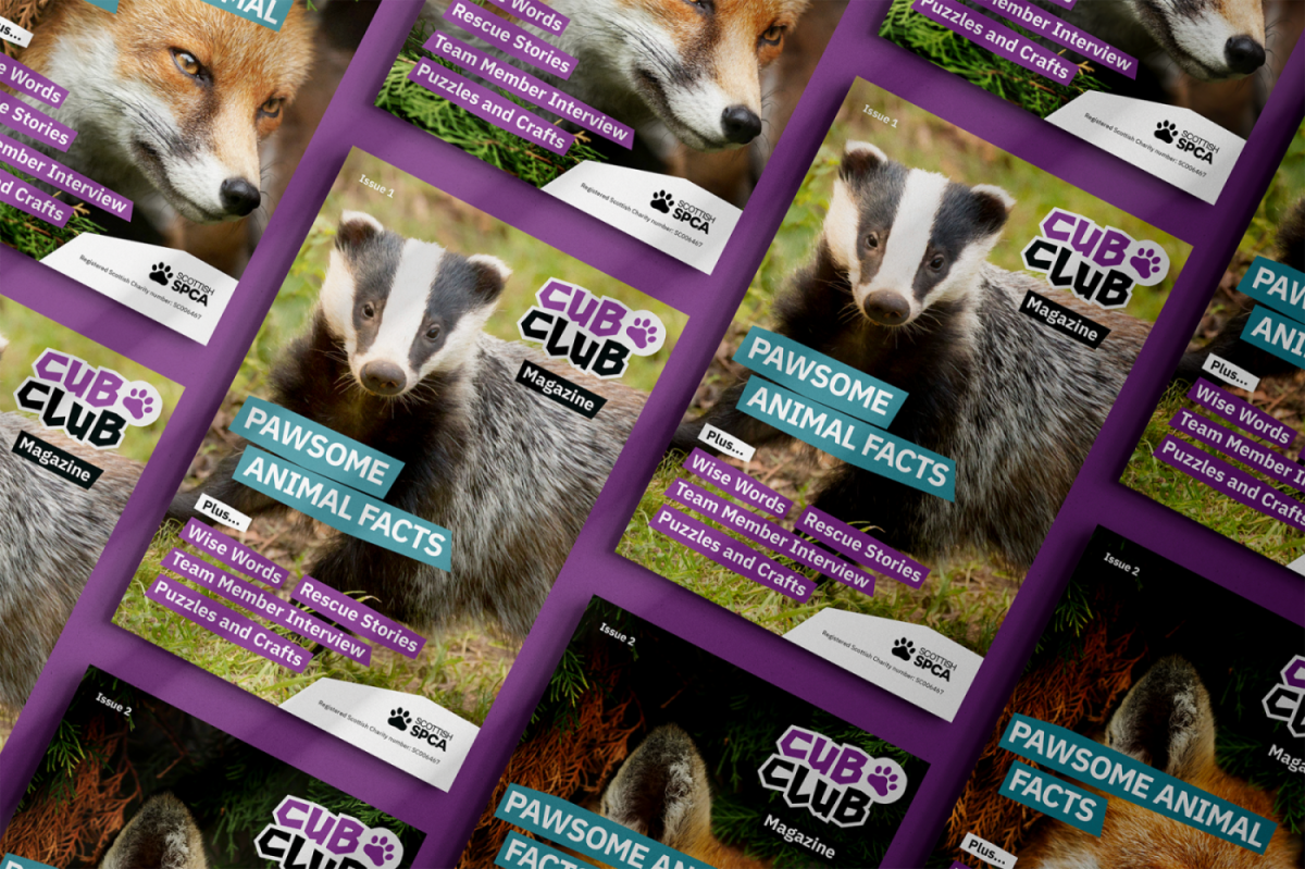 printed marketing materials produced by Ruddocks for the Scottish SPCA