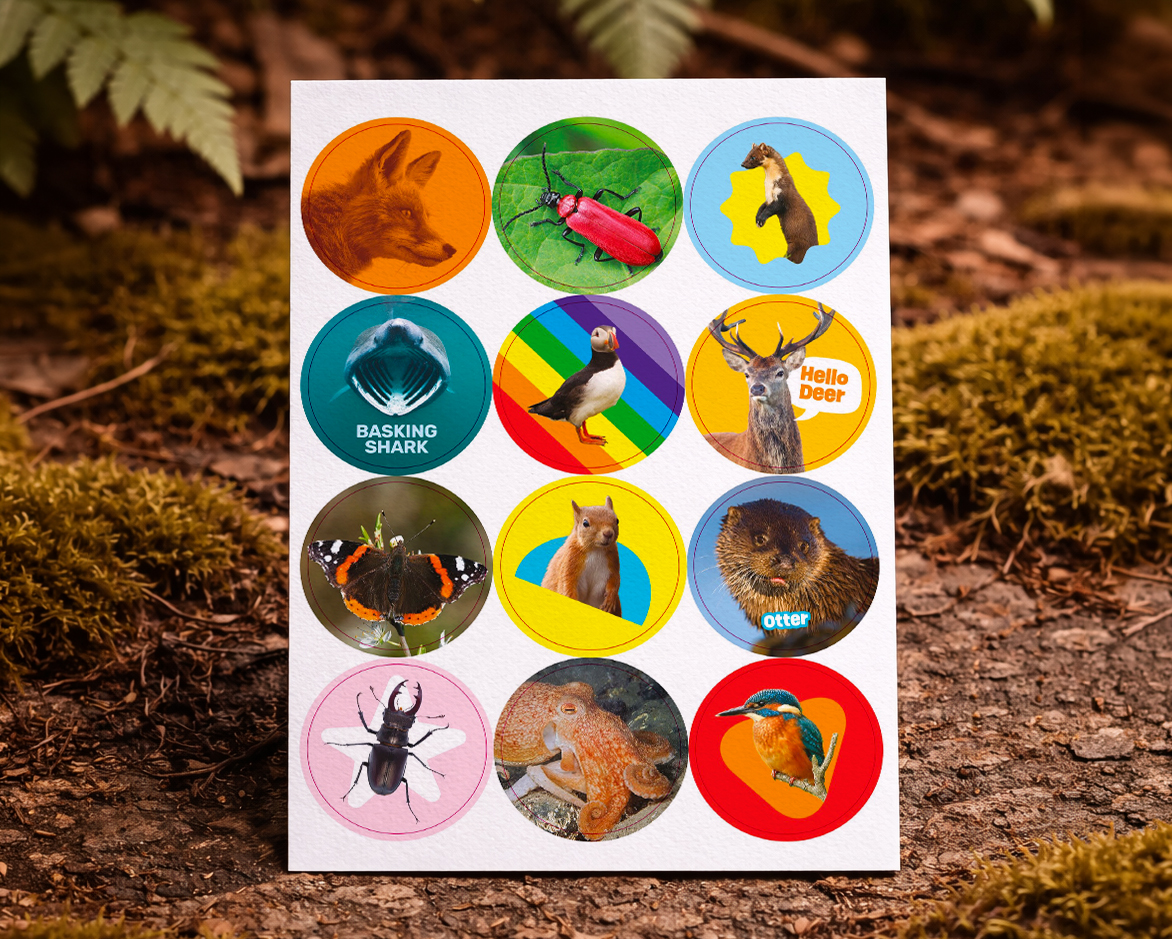 wildlife watch stickers produced by ruddocks