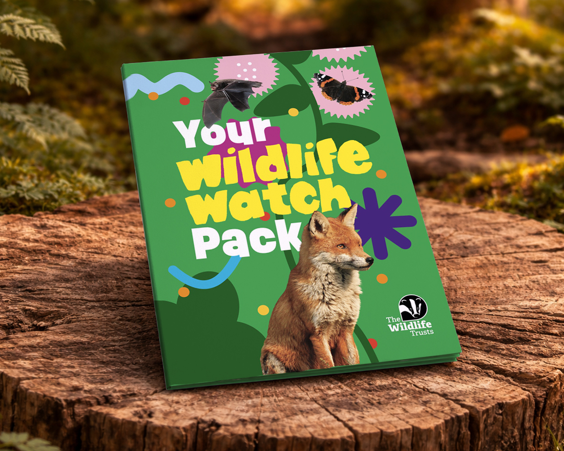 Wildlife watch packs Folder