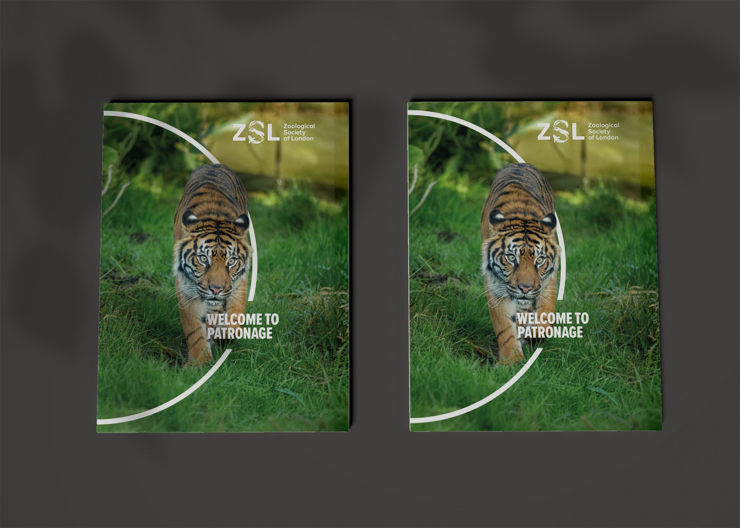 Zoological Society of London ZSL direct mail campaign and charity supporter journey developed by Ruddocks
