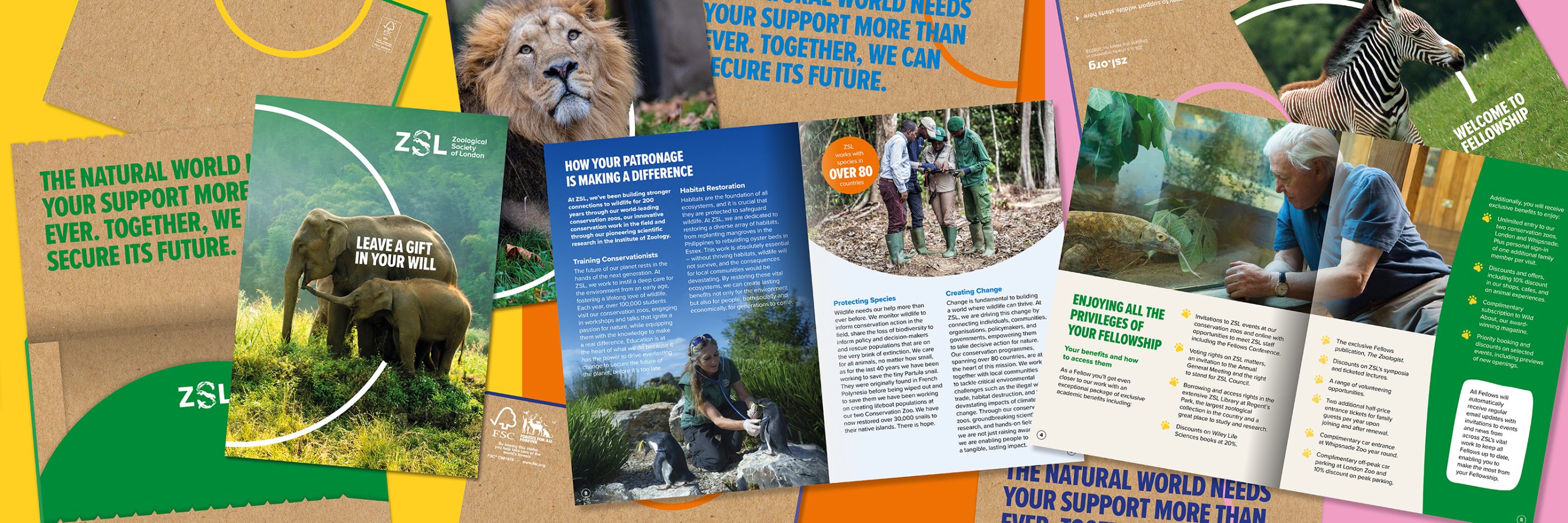 Zoological Society of London ZSL direct mail campaign and charity supporter journey developed by Ruddocks