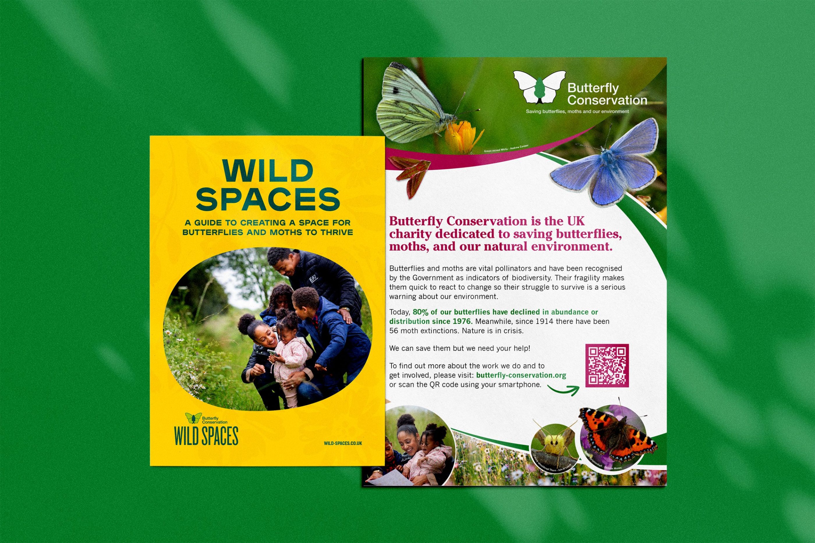 Butterfly Conservation materials produced by Ruddocks