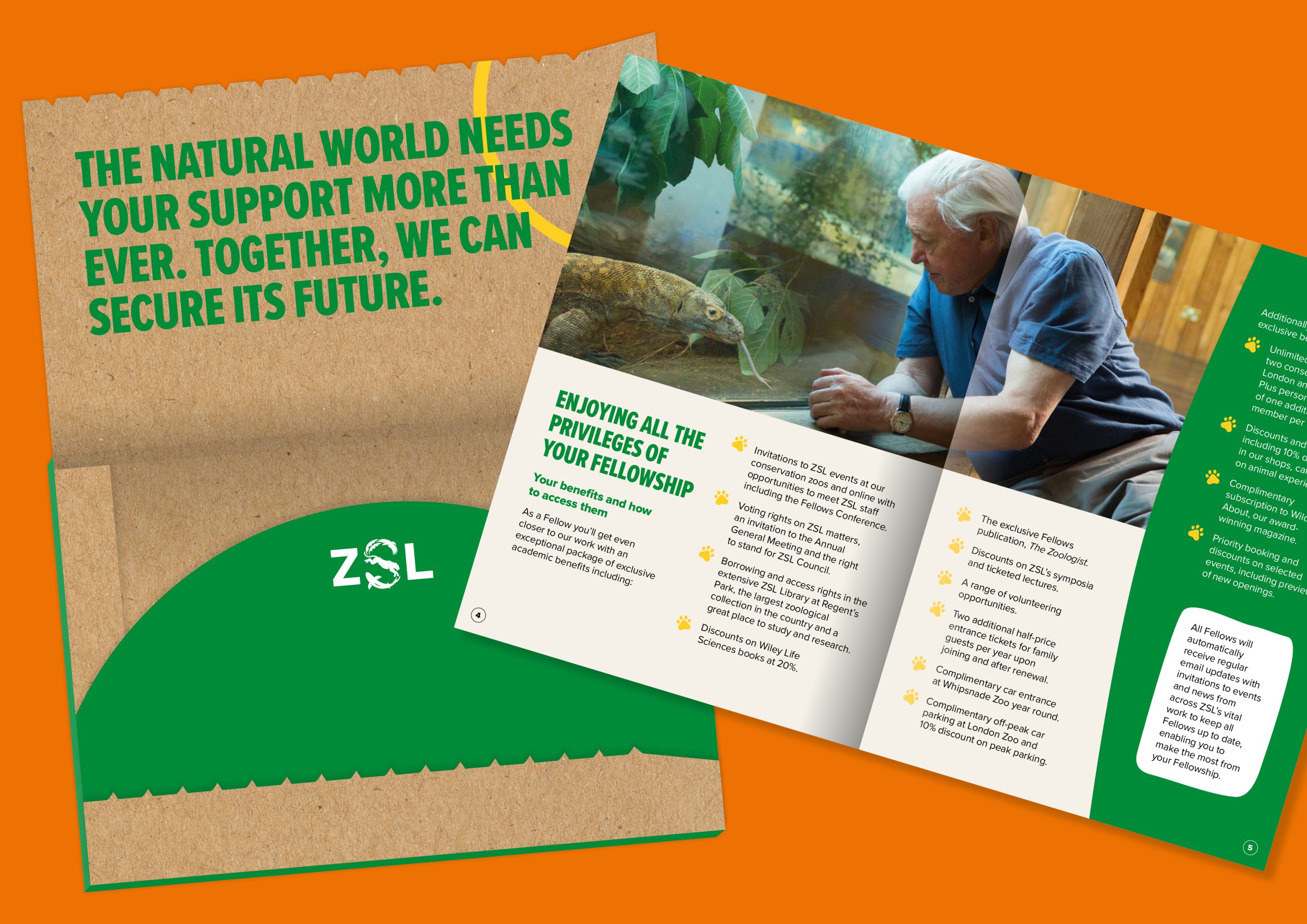 Zoological Society of London ZSL direct mail campaign and charity supporter journey developed by Ruddocks