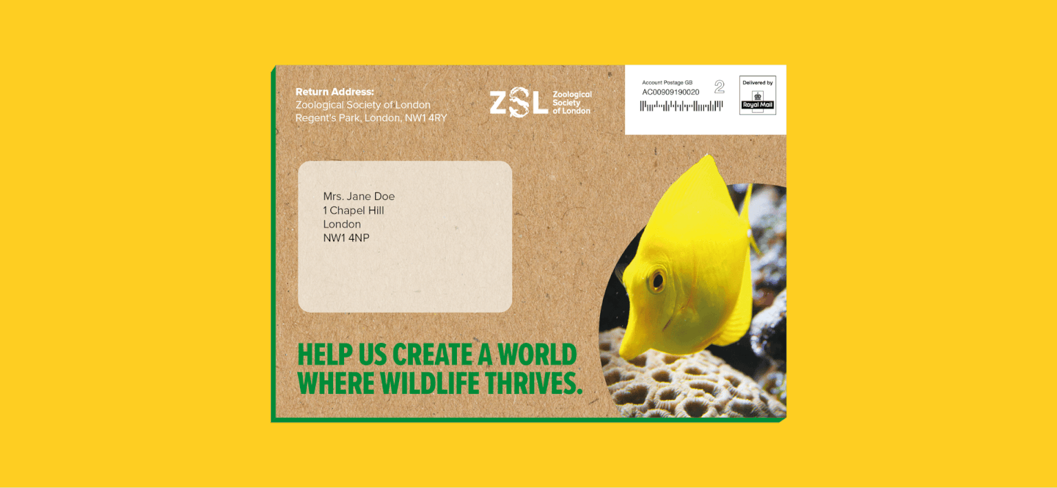 Zoological Society of London ZSL direct mail campaign and charity supporter journey developed by Ruddocks