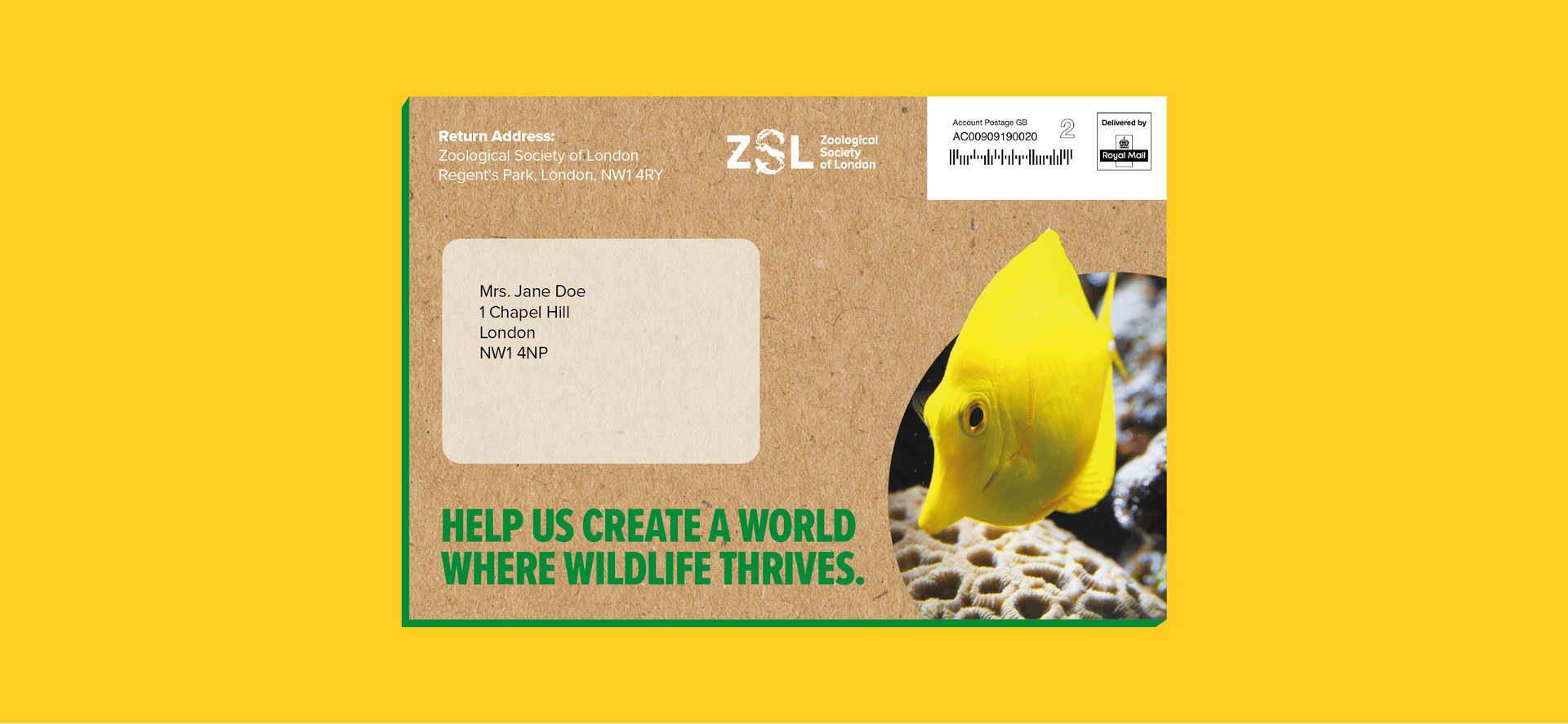 Zoological Society of London ZSL direct mail campaign and charity supporter journey developed by Ruddocks