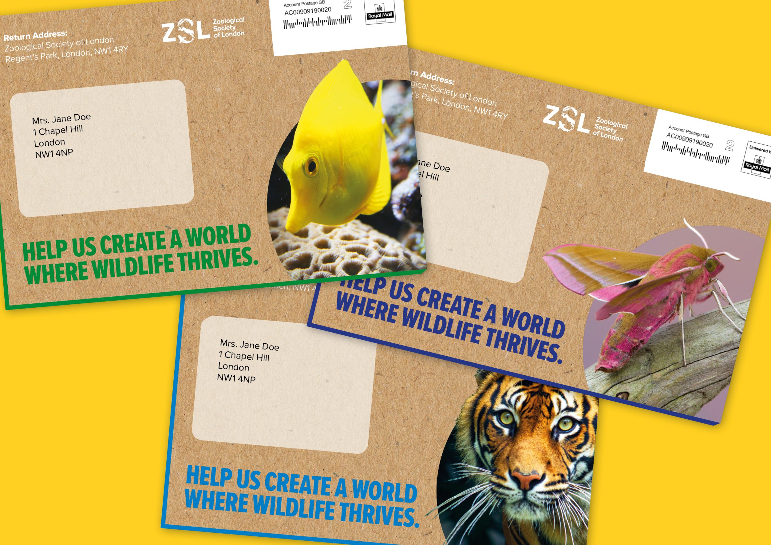 Data management for ZSL provided by Ruddocks